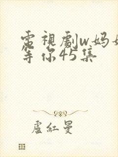电视剧w妈妈在等你45集封面