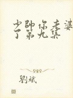 少帅你老婆又跑了第九集封面