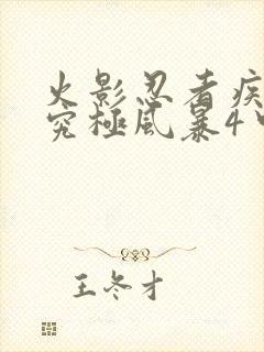 火影忍者疾风传究极风暴4中文