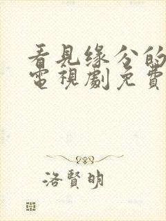 看见缘分的少女电视剧免费观看高清