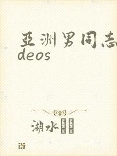 亚洲男同志videos