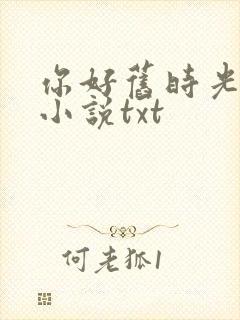 你好旧时光原著小说txt