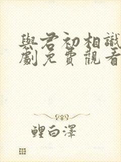 与君初相识电视剧免费观看民当网