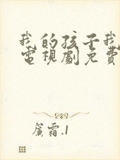 我的孩子我的家电视剧免费观看全集