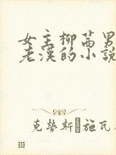 女主柳茜男主刘老汉的小说叫什么名