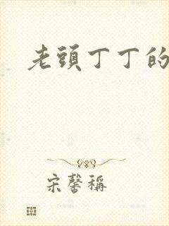 老头丁丁的微博