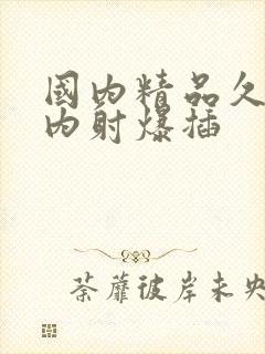 国内精品久久久内射爆插