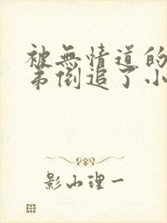 被无情道的小师弟倒追了小说免费阅读