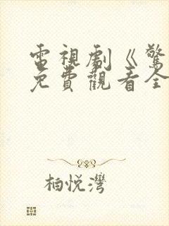 电视剧《惊弦》免费观看全集高清