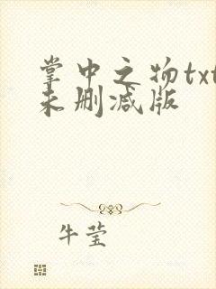 掌中之物txt未删减版