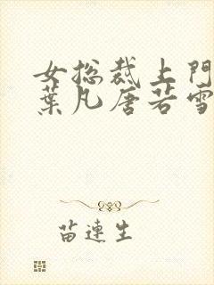 女总裁上门女婿叶凡唐若雪