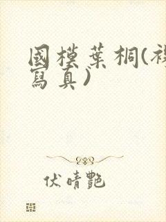 国模叶桐(裸体写真)