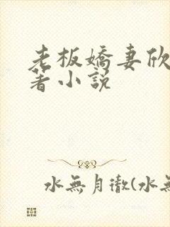 老板娇妻欣儿原著小说