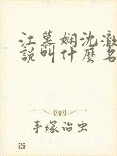 江慕娴沈澈珩小说叫什么名字