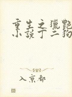 重生之猎艳人生小说丁二狗免费阅读