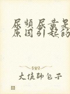 尿频尿黄是什么原因引起的