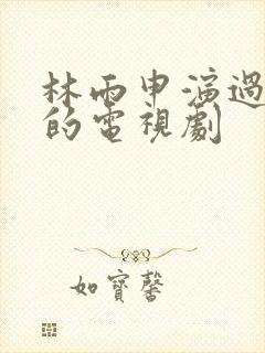 林雨申演过最火的电视剧