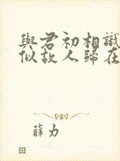 与君初相识,恰似故人归在线观看封面