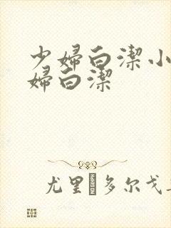 少妇白洁小说少妇白洁