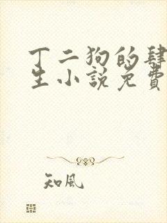 丁二狗的肆意人生小说免费封面