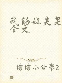 我的姐夫是太子全文