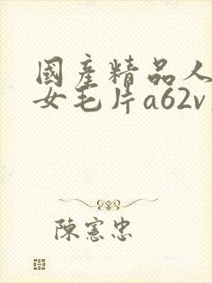 国产精品人妻熟女毛片a62v久久