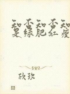 知否知否知否应是绿肥红瘦原著