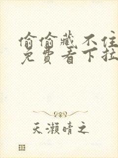 偷偷藏不住漫画免费看下拉式