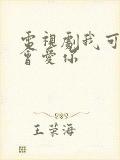 电视剧我可能不会爱你封面