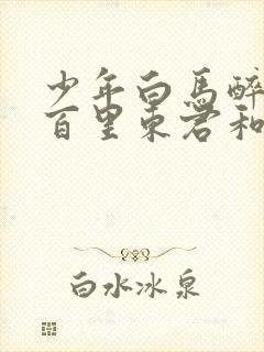 少年白马醉春风百里东君和玥瑶封面