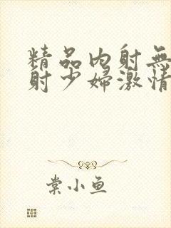 精品内射无套内射少妇激情封面