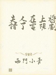 夫人在上将军知错了电视剧封面