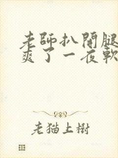 老师扒开腿让我爽了一夜软件