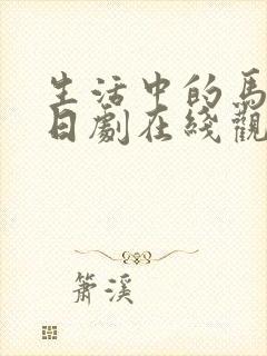 生活中的马玛丽日剧在线观看免费