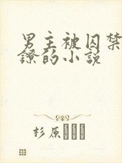 男主被囚禁戴脚镣的小说