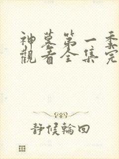神墓第一季免费观看全集完整版高清