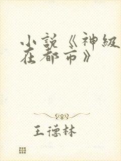 小说《神级高手在都市》