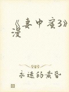 《妻中蜜3》动漫