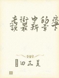 老街中的痞子小说最新章下载