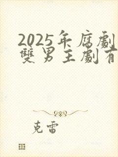 2025年腐剧双男主剧有哪些