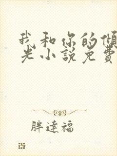 我和你的倾城时光小说免费阅读封面