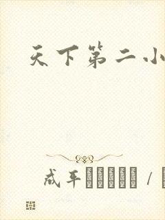 天下第二小说封面