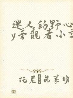 迷人的野心家by旁观者小说免费阅读txt