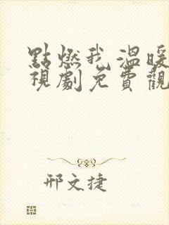 点燃我温暖你电视剧免费观看完