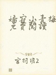 娇宠小青梅全文免费阅读