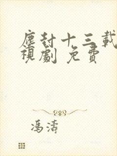 尘封十三载 电视剧 免费