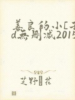 善良的小[子hd无删减2015封面