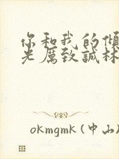 你和我的倾城时光厉致诚林浅