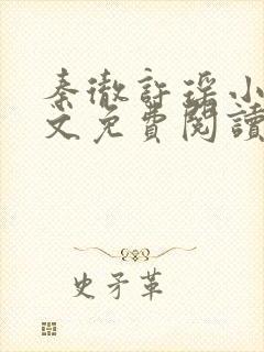 秦彻许瑶小说全文免费阅读最新章节