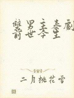 双男主泰剧穿越前世今生